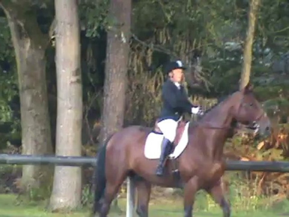 Notre première épreuve de dressage Amateur 2 imposée C
