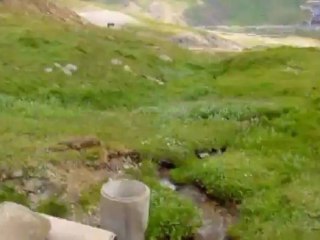 2008 Impacto en Sallent de Gállego, Cursos Verano