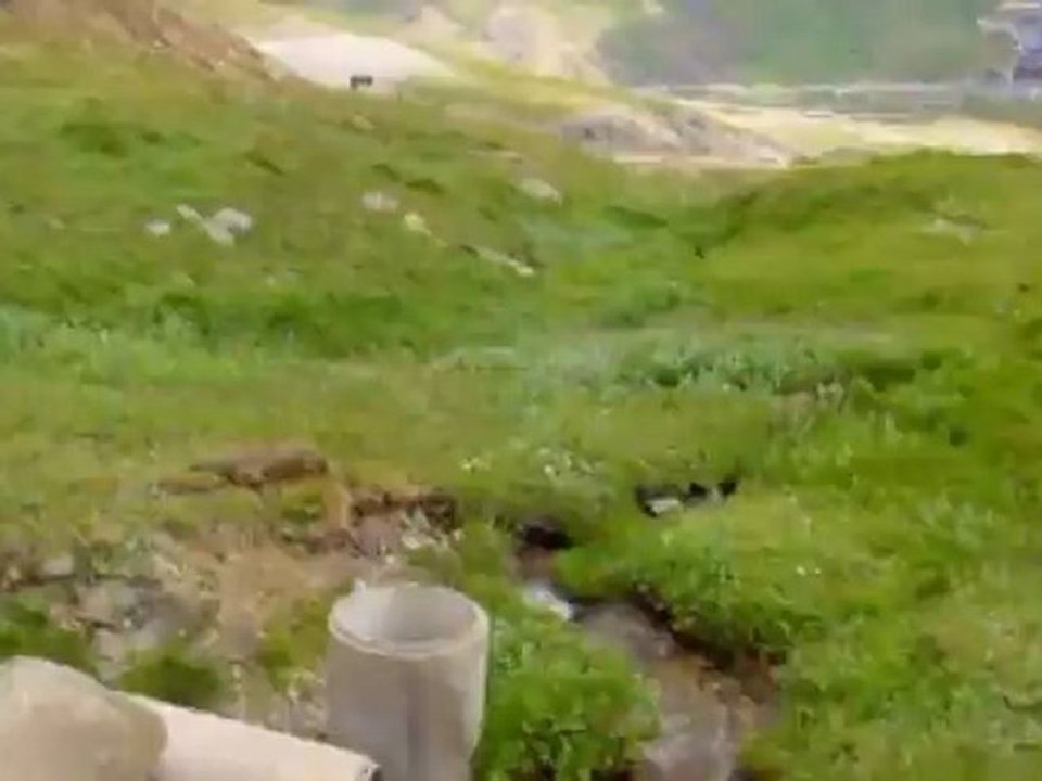 2008 Impacto en Sallent de Gállego, Cursos Verano