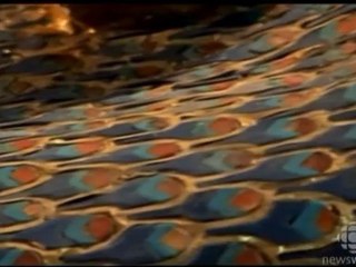 Nefertiti and the Lost Dynasty (2007)