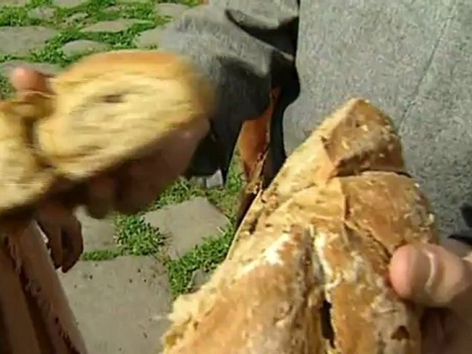 Secrets of Archaeology - 01of27 - Pompeii, A City Rediscovered