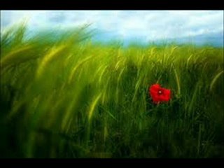 Zawâj El Yamâm - Le Trio Joubran