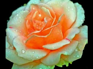 Orhan Gencebay - Gitme UNUTTUNMUBENİ [Yüksek Kalite]