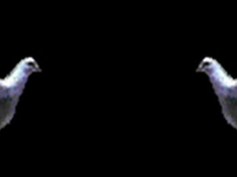 Hüseyin Ali Rıza Albayrak Efsane