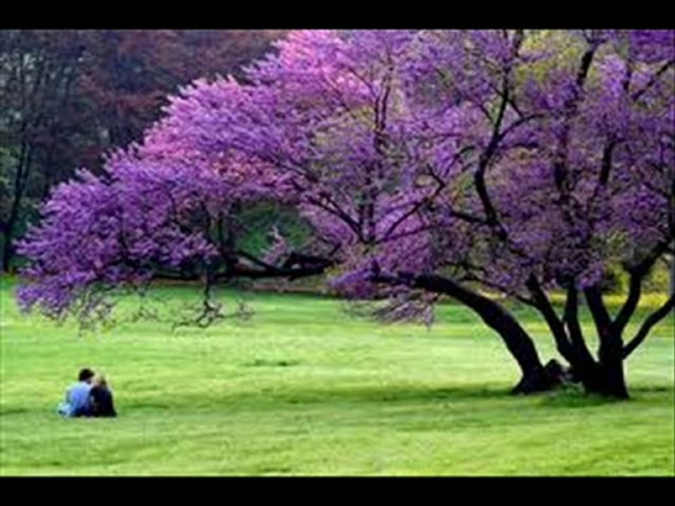 Mevsimler Yas Tutup Çöller  Ağlasın