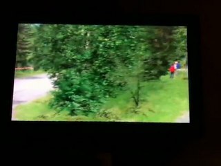 TOTO PROD RBR 2011 Joux verte 2 205 maxi f 2000-14