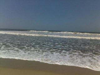 reggae musik live by dj masto