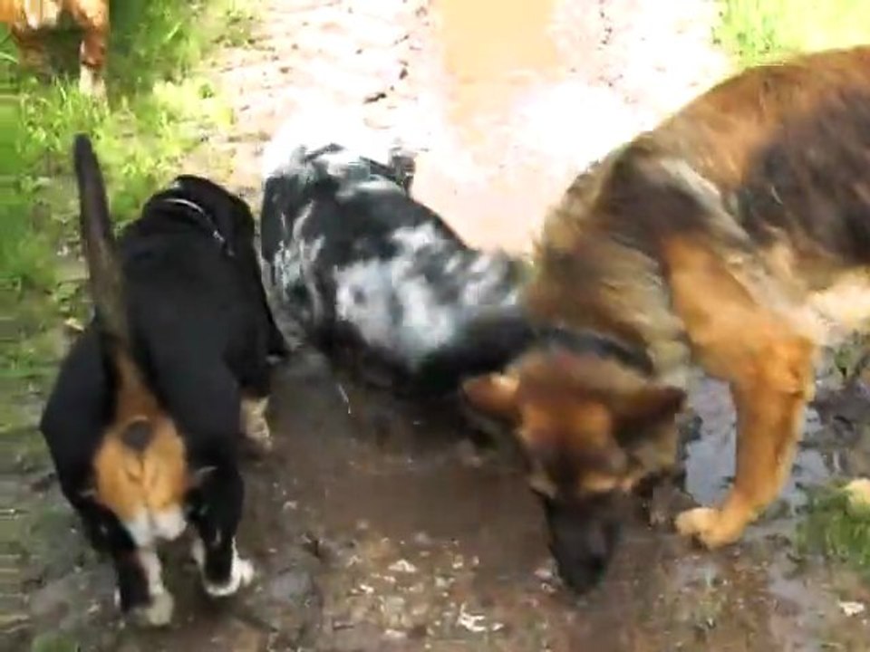 hum...le bain de boue!!