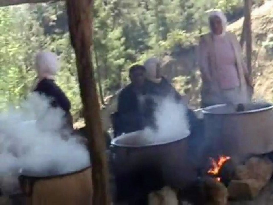 Gezende Köyü 4. Erik Festivali Aş yerinden görüntüler