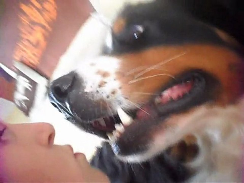 Eclypse ma perfection