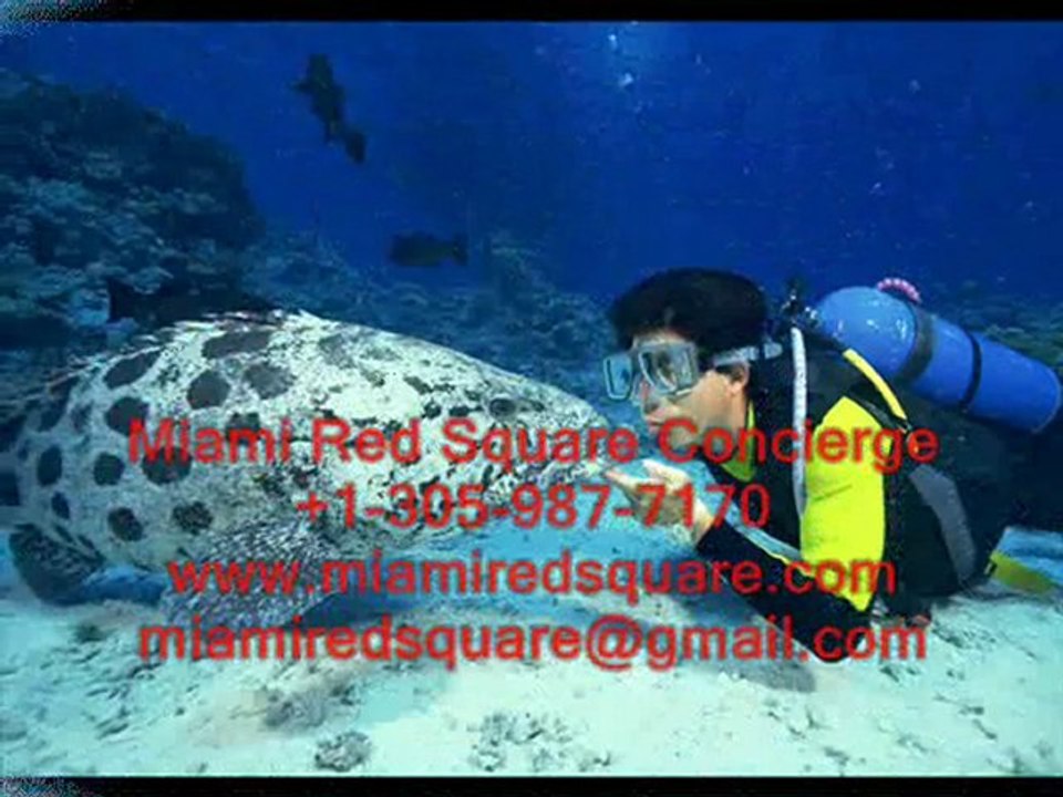 СПОРТИBНЫЙ ОТДЫХ В МАЙАМИ - ДАЙВИНГ, ЙОГА, ТЕННИС, ГОЛЬФ.