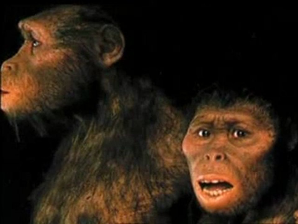 Savaşın ideolojisi