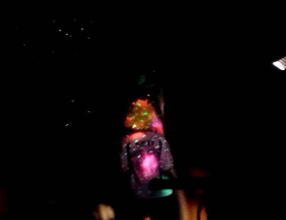 soiréé du 16 juillet anniv justine et marion