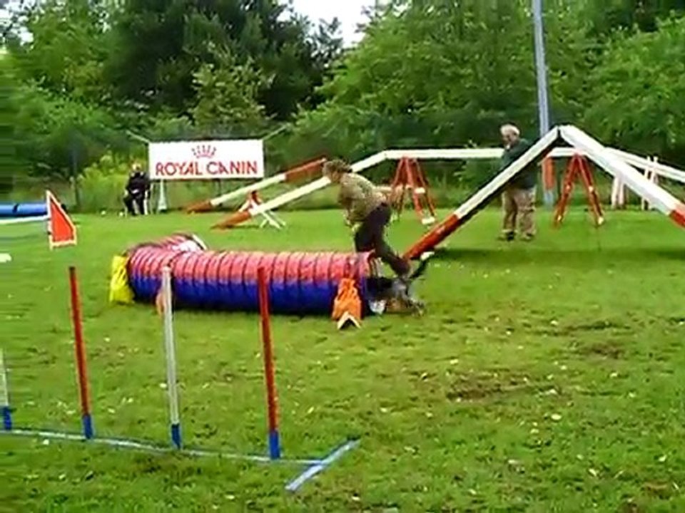 Dixie concours agility Ham open+ 17/07/2011