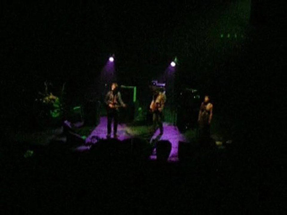 bertrand belin - la chaleur -  francofolies 2011