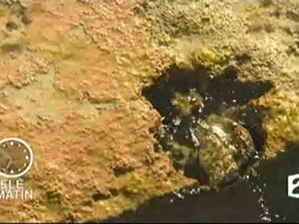 Reportage O des Salines - Télématin