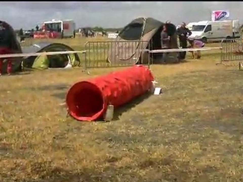 concours agility luçon nicolas et antalaya 17 juillet 2011