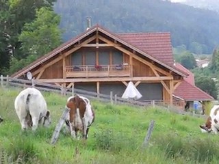 L'origine du Comté et du Morbier !!