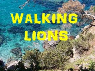 walking lion NATUREZA reggae ecologico