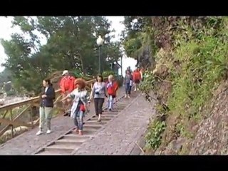 2011-croisière transatlantique funchal jardin botanique
