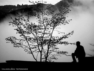 Taha - lal Olur / www.minelask.com