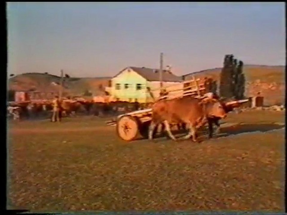 1989-1995 Bir Köyün Kent Oluşu, Dünden Bugüne Esenyurt