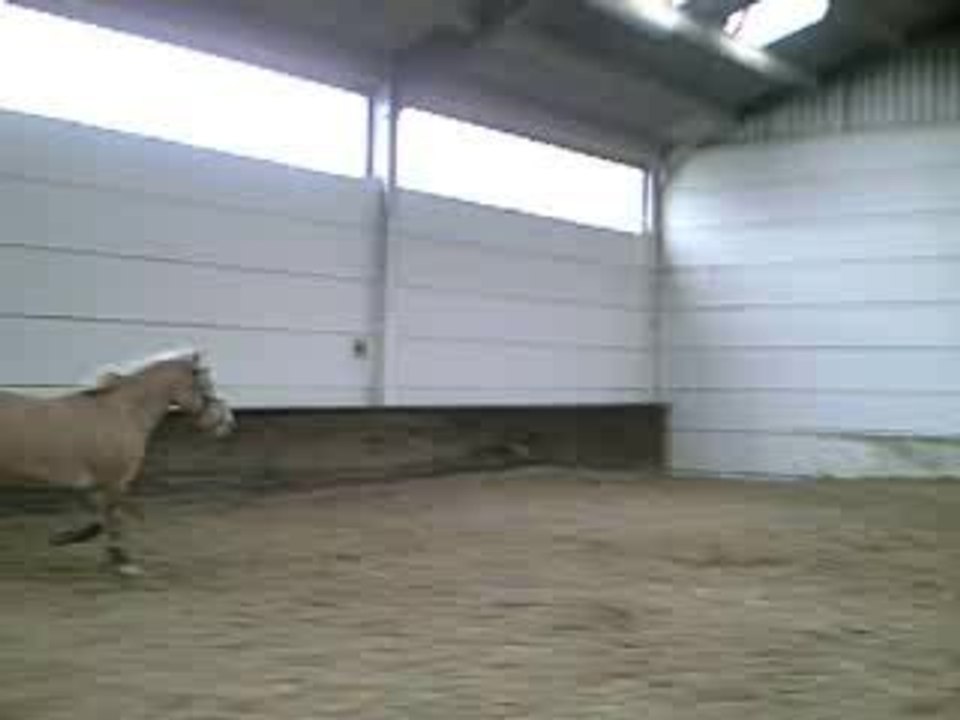 Saut en liberté de Vanille