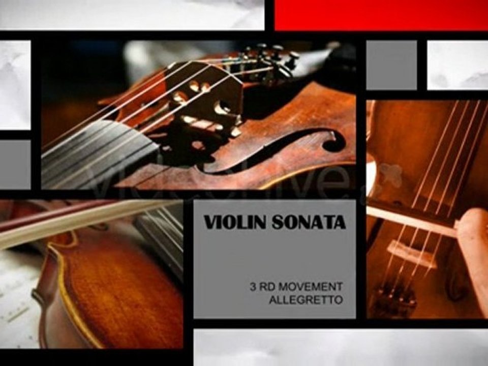 The Composition After Effects template