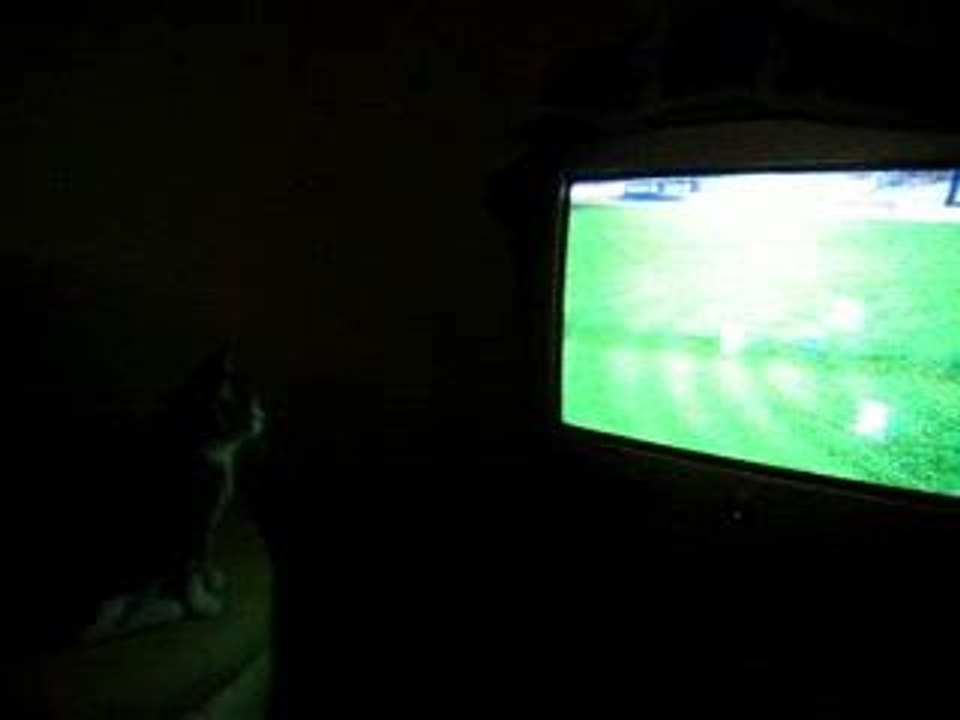Bounty, Fan de l'OM