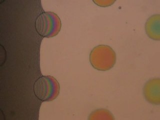 microfluidic elveflow deposit by capillarity