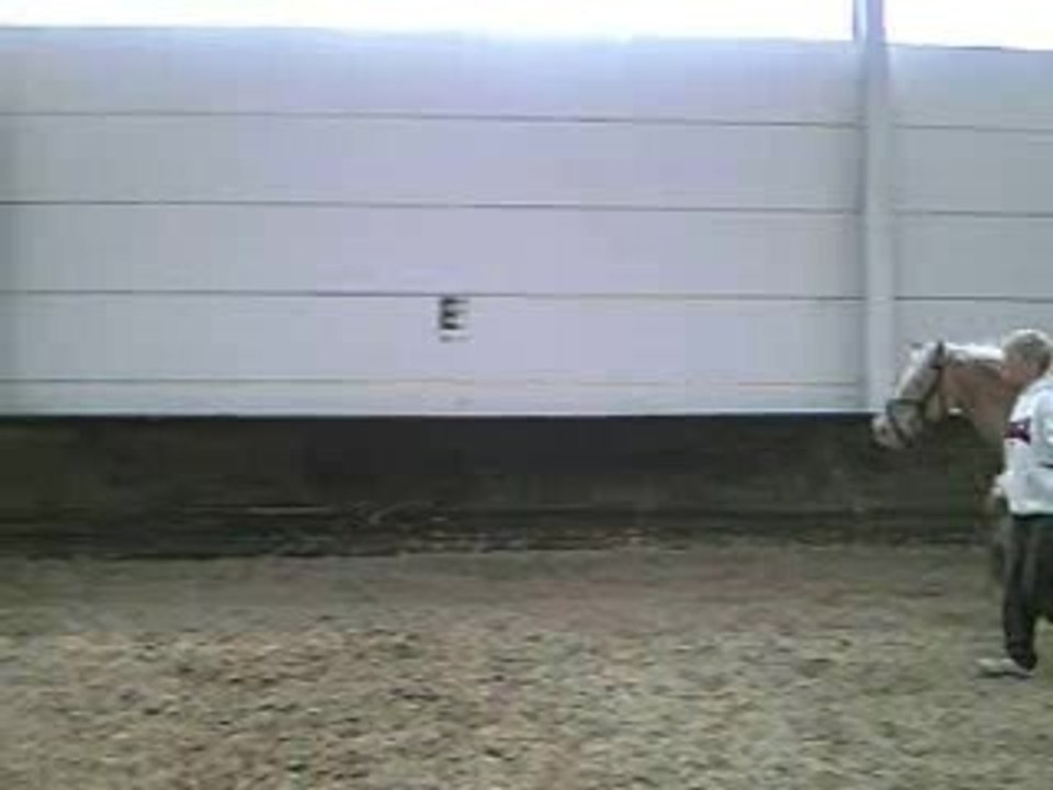 Saut en liberté de Vanille 2