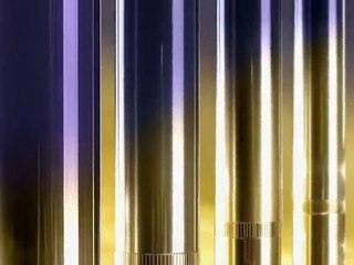 Orchidée Impériale -  The Treatment