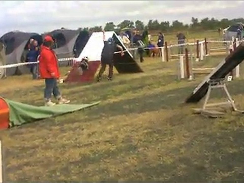 concours agility luçon 17 juillet 2011 laurence et crunch