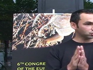 El mejillón cebra amenaza a la economía con pérdidas millonarias