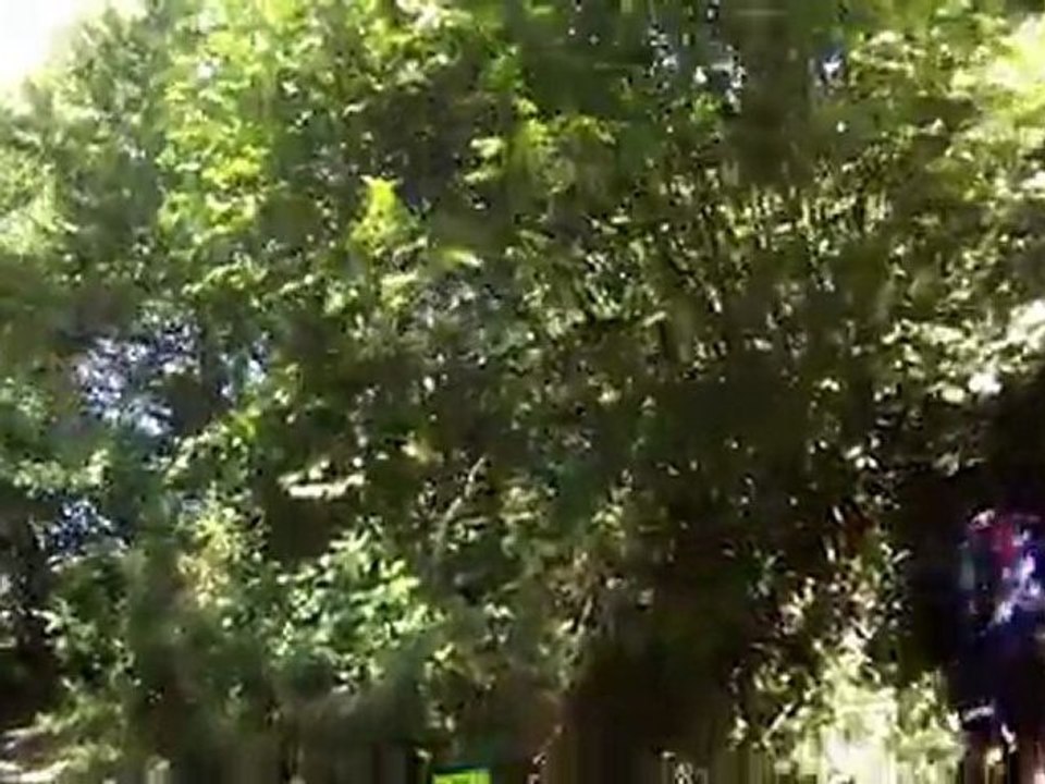 La Philibertine 2011