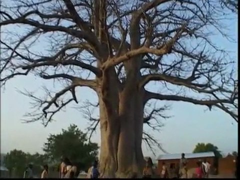 अफ्रीकी जादू गुरु vaudou Vudu africanmagick जादू शाप से प्यार