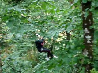 accro à la branche