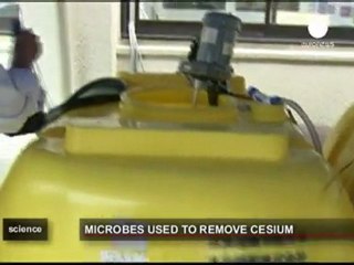 Bactéries contre césium