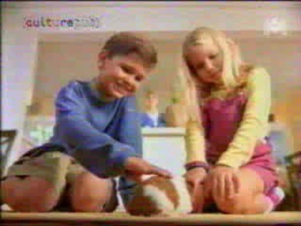 Fausse Pub - Cochon Inde Dingue