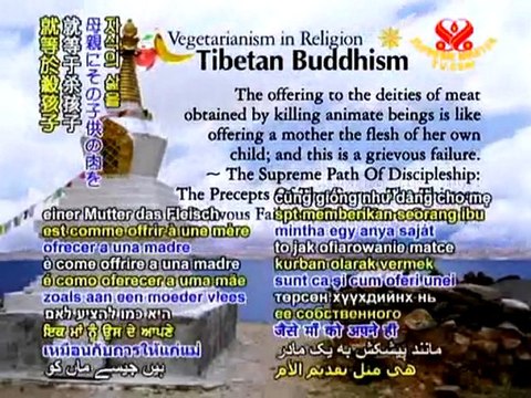 Interview with Supreme Master Ching Hai by James Bean- P3/3