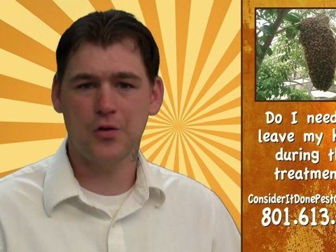 Pest Control Layton - Do I need to leave my home