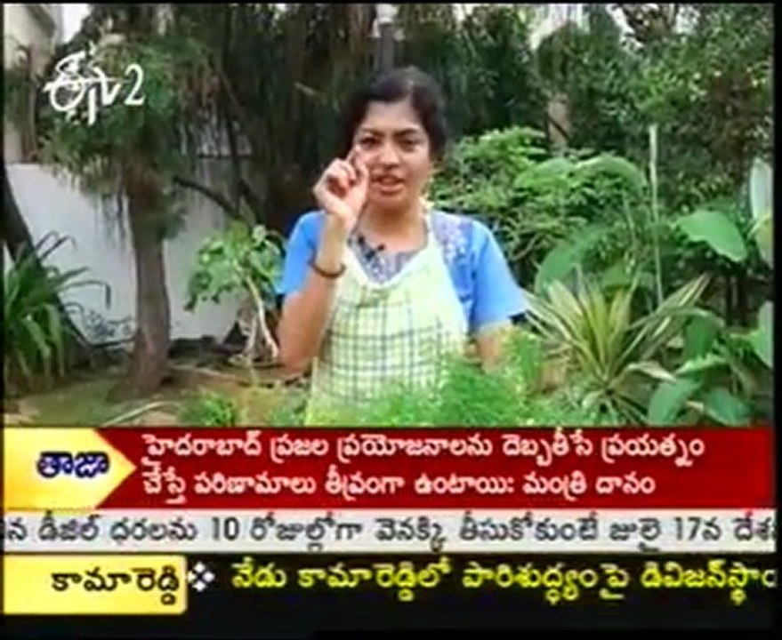 Sakhi - Beautiful Gardening