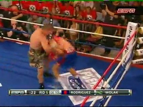DELVIN RODRIGUEZ vs PAWEL WOLAK