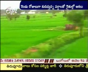 Cool Mansoon  effect - Formers very Happy on Rains