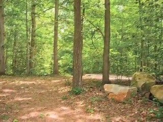 Springwoods at Lake Ridge Apartments in Woodbridge, VA ...