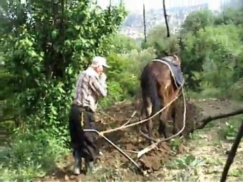 Mersin Gülnar Gezende Köyü yaza hazırlık görüntüleri halil&nurcan koçak