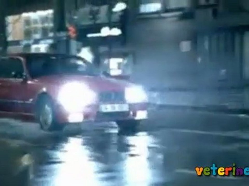 Barınak Gönüllüleri