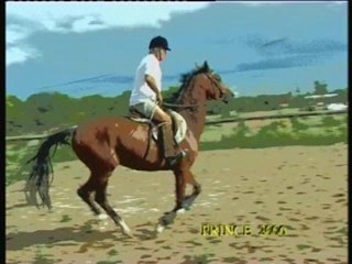 La boite a souvenirs...