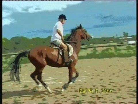 La boite a souvenirs...