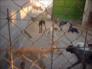 Refuges espagnols